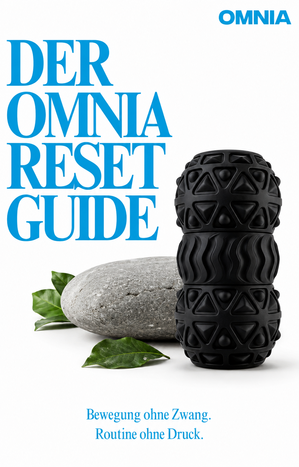 Der OMNIA Reset Guide
