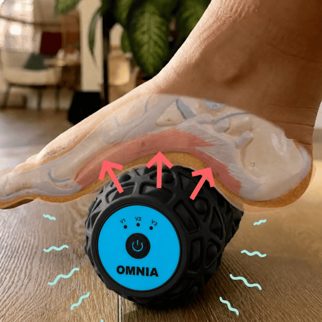 OMNIA®- Motion Roller