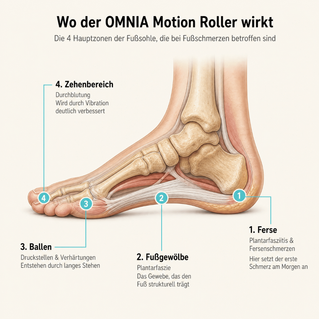 OMNIA®- Motion Roller